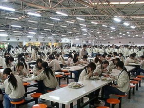 東莞電子廠女工的真實生活,想進(jìn)電子廠的可以先了解一下